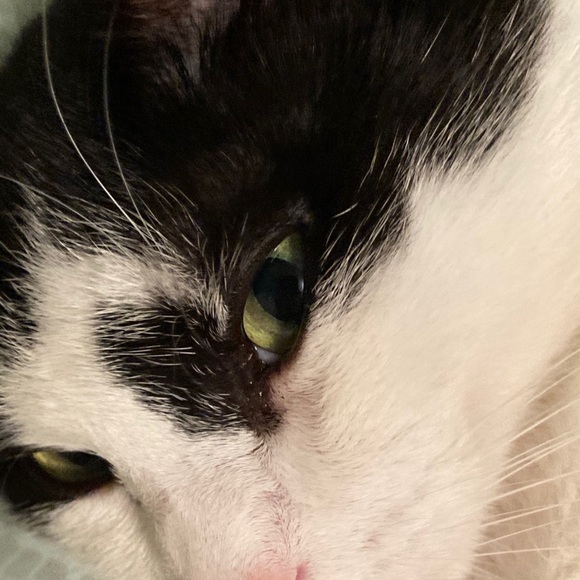 Meet your Posher, Michelle - Picture 8 of 9